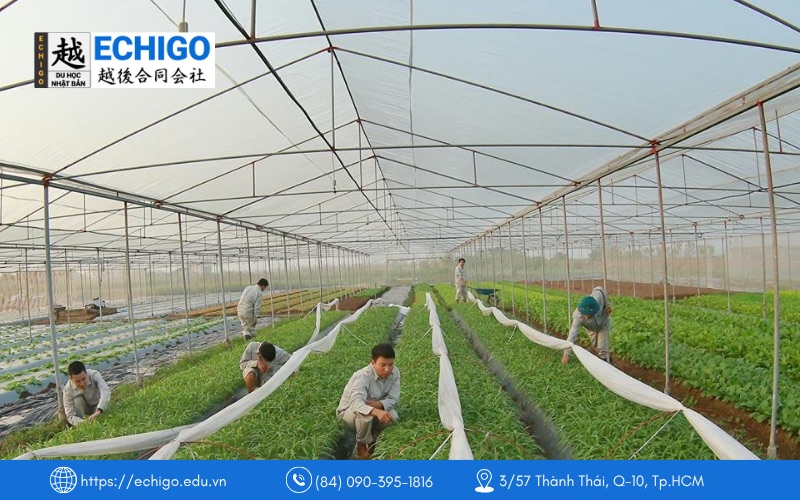 Ngành Nông nghiệp, công nghệ thực phẩm